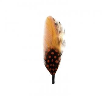 Plumes pour chapeau Hat Feather